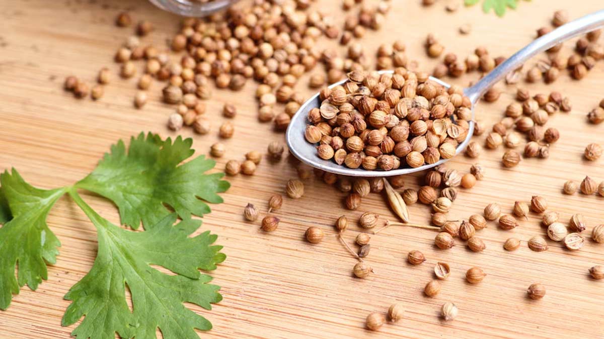 Health Benefits Of Drinking Soaked Coriander Water Everyday